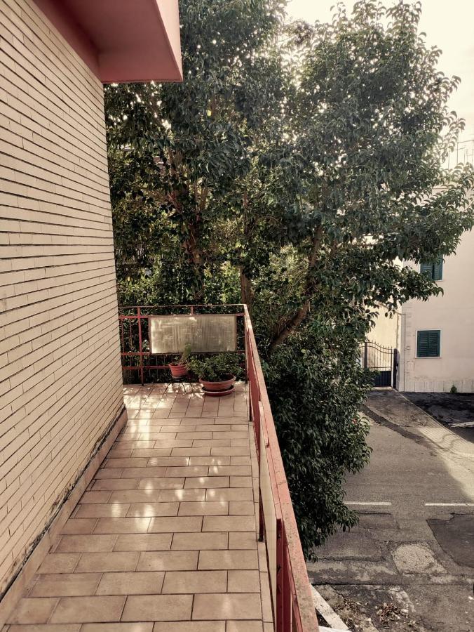 Roma Amor Vitinia المظهر الخارجي الصورة